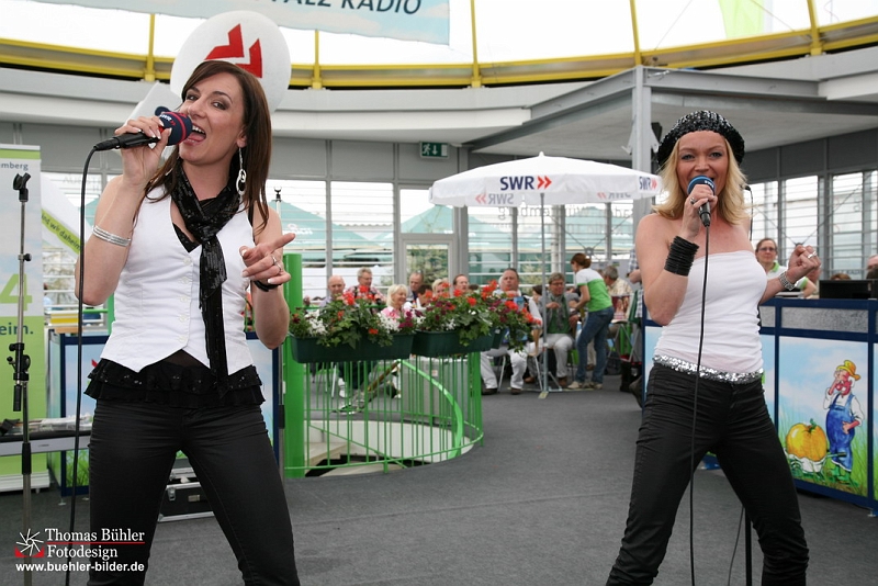 Rosenrot IMG_1905.jpg