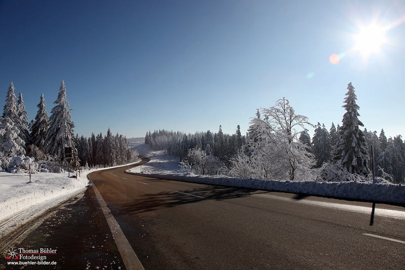 Winter_Schnee_Tanne_Wald IMG_6094.jpg