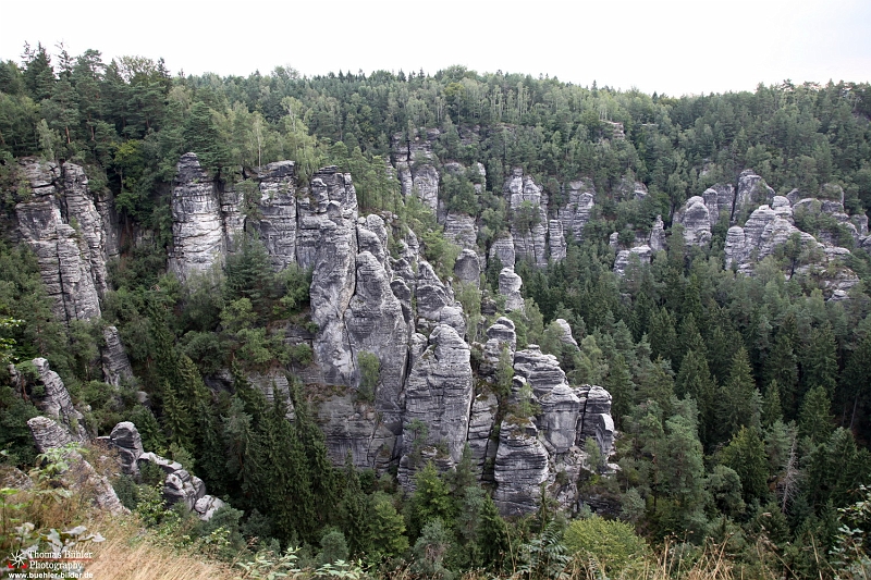 Saechsische Schweiz IMG_6017.jpg