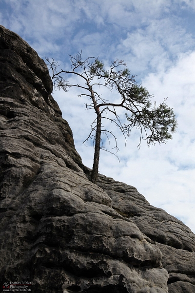 Saechsische Schweiz IMG_6194.jpg