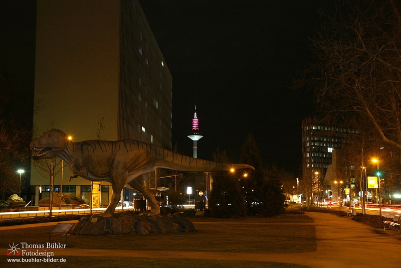 Frankfurt am Main Blick auf den Europaturm bei Nacht IMG_1123.jpg