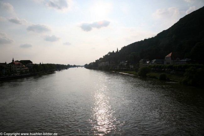 ©IMG_7787.jpg