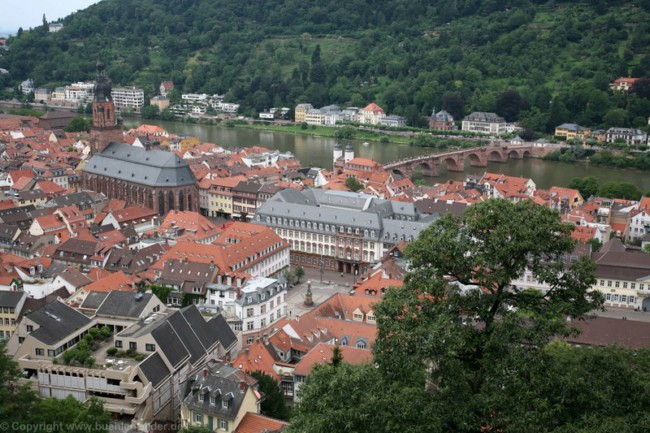 Blick vom Schloss_©IMG_0953.jpg