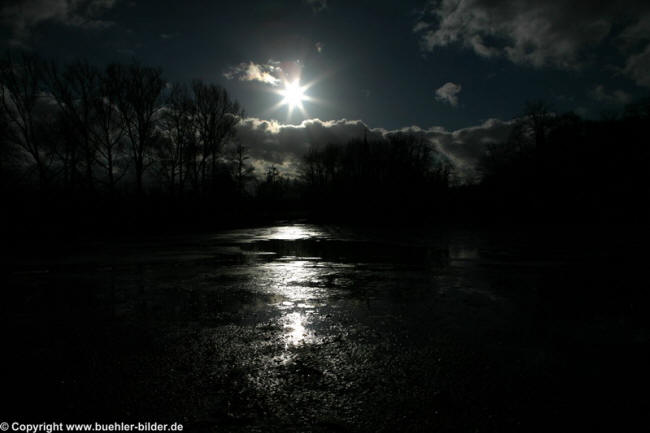 Gegen die Sonne_©IMG_0449.jpg