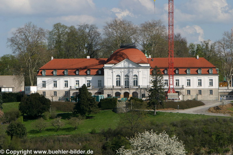 ©IMG_2853.jpg
