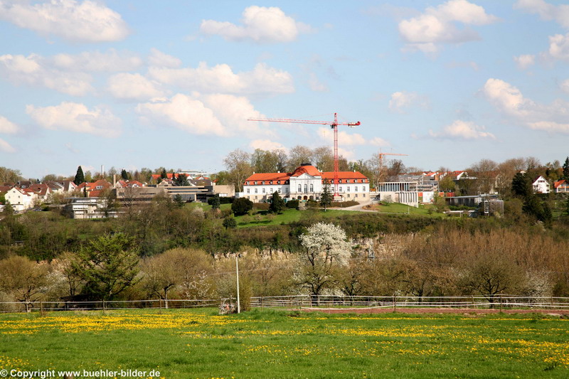 ©IMG_5112.jpg